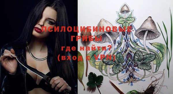 бошки Каменногорск