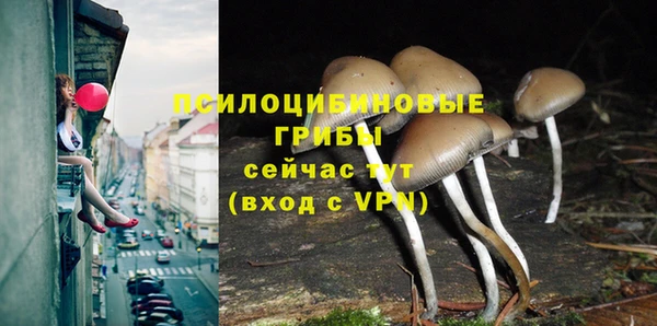 альфа пвп Каменск-Шахтинский