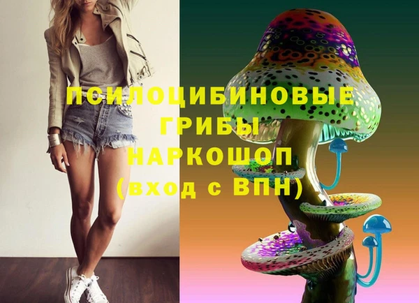 бошки Каменногорск