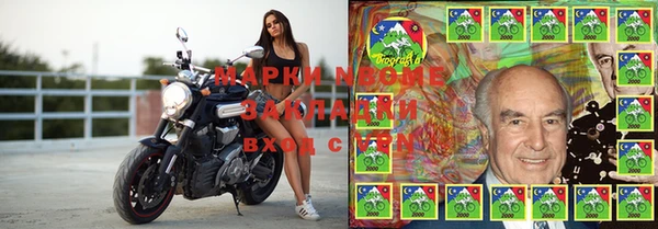 бошки Каменногорск
