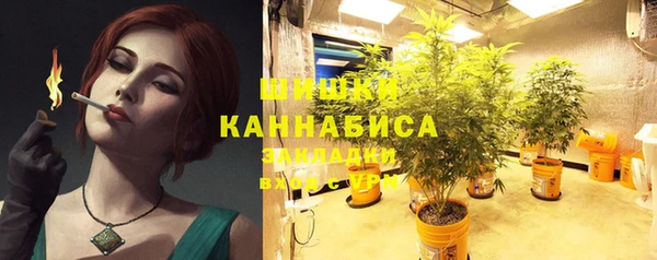 бошки Каменногорск